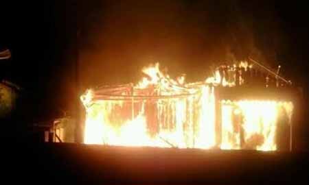 Corpo de Bombeiros resgata cachorros que estavam em incêndio; imóvel fica destruído