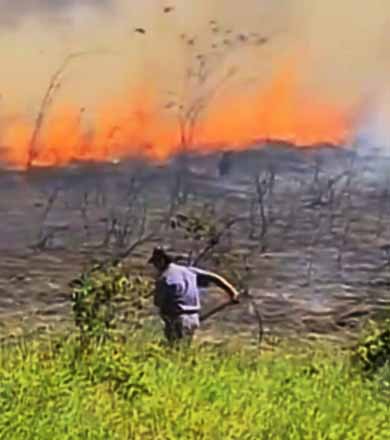 Bombeiros levam 3h para conter incêndio no aeródromo de Assis
