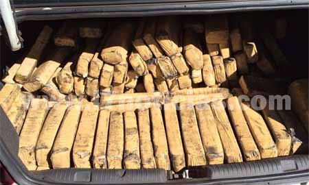 Polícia encontra 200 kg de maconha escondidos em pneus em Assis