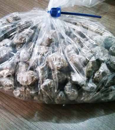 Mais de 200 porções de maconha são encontradas em terreno baldio em Assis
