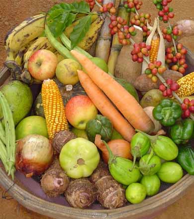 Instituto Federal disponibiliza curso de Agricultor Familiar pelo Pronatec em Paraguaçu
