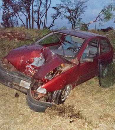 Professora perde controle da direção do carro, derruba árvore e vai parar em pasto