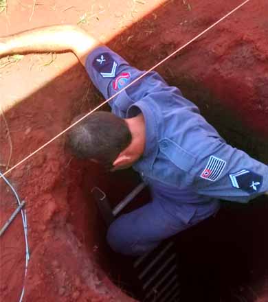 Cachorro cai em buraco de cinco metros e é resgatado pelos Bombeiros em Paraguaçu