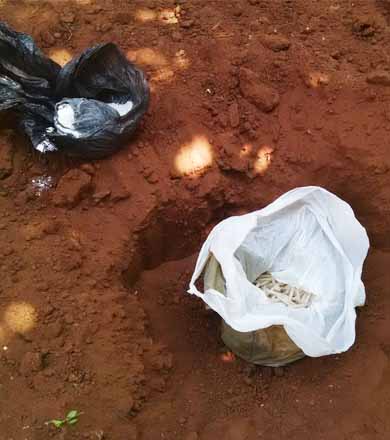 Polícia encontra mais de 300 pinos de cocaína enterrados em terreno na Barra Funda