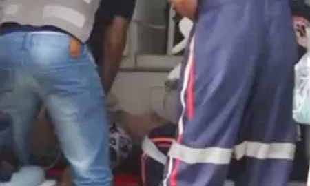 Mulher morre após ataque de abelhas em quintal em distrito de Marília