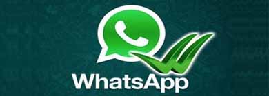WhatsApp passa a mostrar se mensagens enviadas já foram lidas