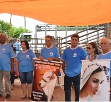 Festividades em louvor à Imaculada Conceição acontecem neste fim de semana
