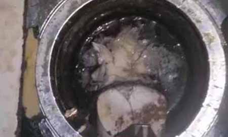 Mulher esconde porções de cocaína em ralo e é presa pela PM em Assis