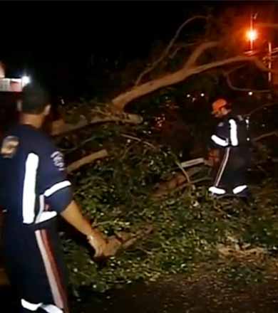 Ventos de quase 100 km/h derrubam árvores e destelham casas em Ourinhos