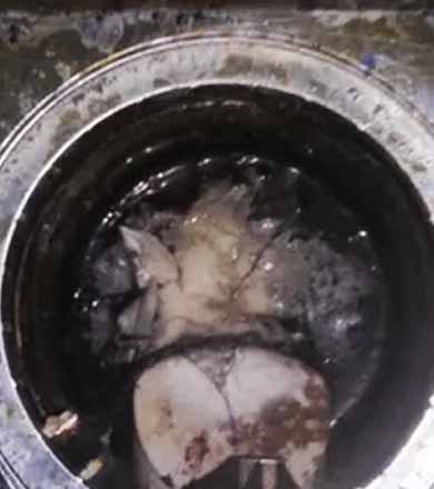 Mulher esconde porções de cocaína em ralo e é presa pela PM em Assis