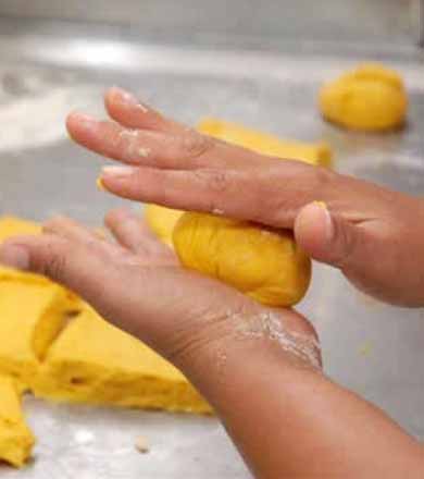 Sindicato Rural Patronal está com inscrições abertas para cursos gratuitos
