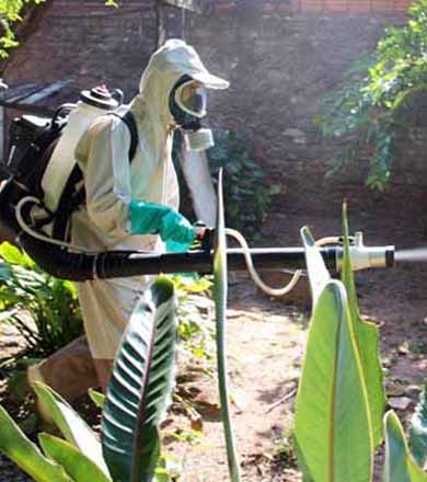 Prefeitura de Rancharia confirma morte de duas idosas por dengue