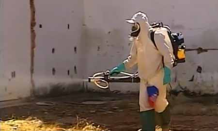 Cândido Mota está em 2ª lugar no ranking de casos de dengue em SP