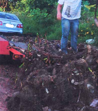 Em plena epidemia de dengue, Guarda Municipal flagra infrator descartando lixo na cidade