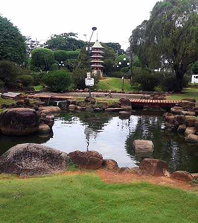 Prefeitura promove limpeza e manutenção no lago do Jardim das Cerejeiras