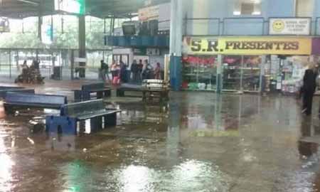 Forte temporal provoca estragos em Assis e Marília