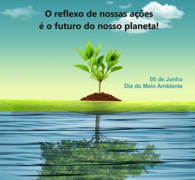 Para dar início à Semana do Meio Ambiente, ONG Salvar realiza ação ecológica neste domingo