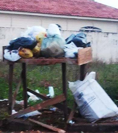 Em plena Semana do Meio Ambiente, moradores buscam soluções simples para ajudar