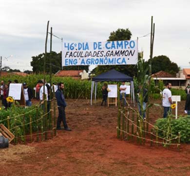 II SIM Leite tem encerramento com Dia de Campo sobre pastagens