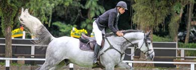 Filho de paraguaçuense é convocado pela CBH para a seleção de hipismo