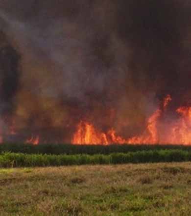 Defesa Civil faz alerta por conta do tempo seco e grande possibilidade de incêndios