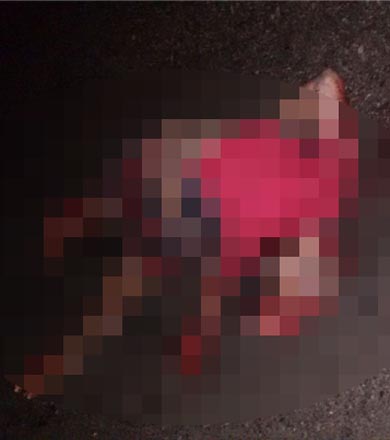 Assisense morre atropelado na rodovia; polícia investiga se ele teria saltado de viaduto