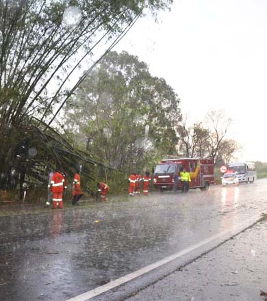 Chuva de granizo atinge Assis  e árvores são derrubadas com o vento na Manílio Gobbi