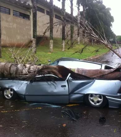 Forte chuva causa estragos em Marília e deixa bairros sem energia