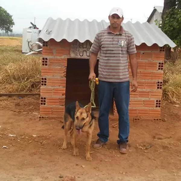 Homem instala ar-condicionado em casa de cadela de estimação