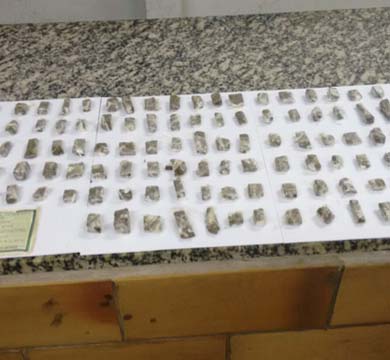 Com mais de 100 porções de maconha, jovem é preso em flagrante na Vila Marim