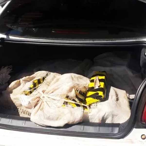 Polícia apreende 60 kg de maconha dentro de carro em Paraguaçu Paulista
