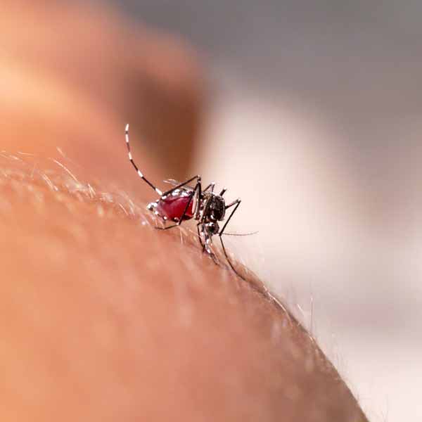 Paraguaçu integra movimento regional contra a dengue