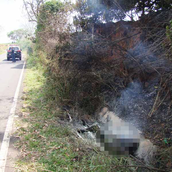 Corpo de mulher é encontrado em chamas em vicinal próximo a Marília, diz Bombeiros