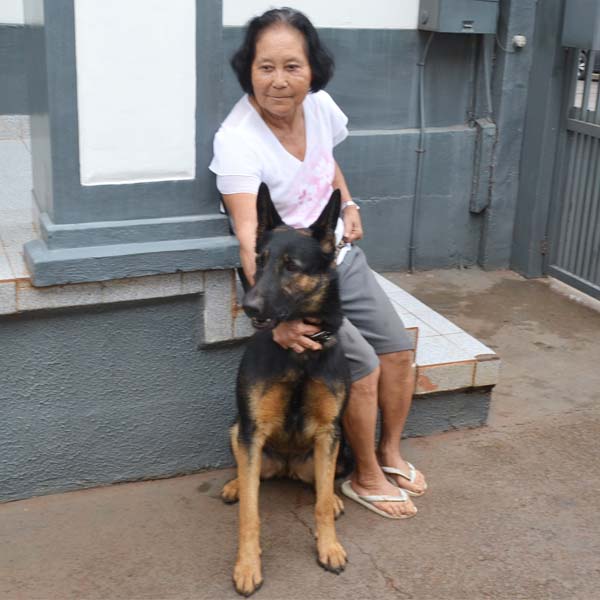 Após 11 dias desaparecida, cachorra é encontrada