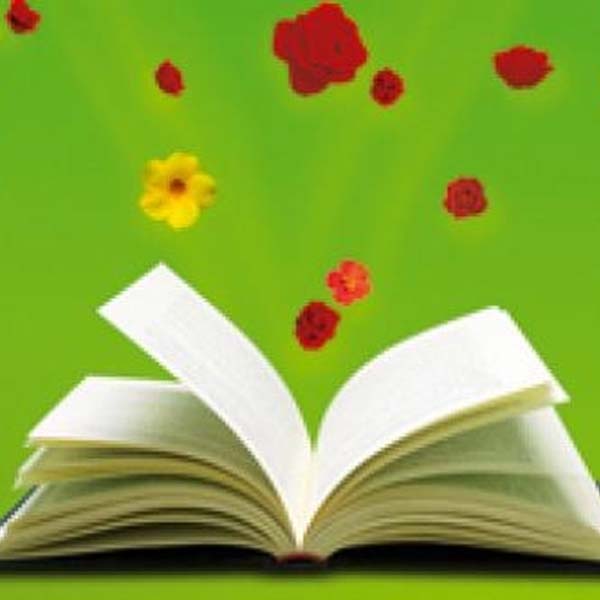 Paraguaçu realiza Semana da Biblioteca com programação até sábado, 31 de outubro