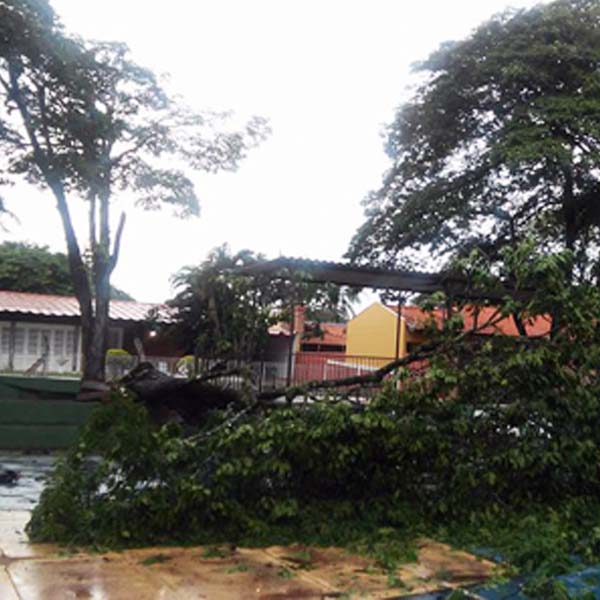 Chuvas com ventanias causam estragos em Paraguaçu
