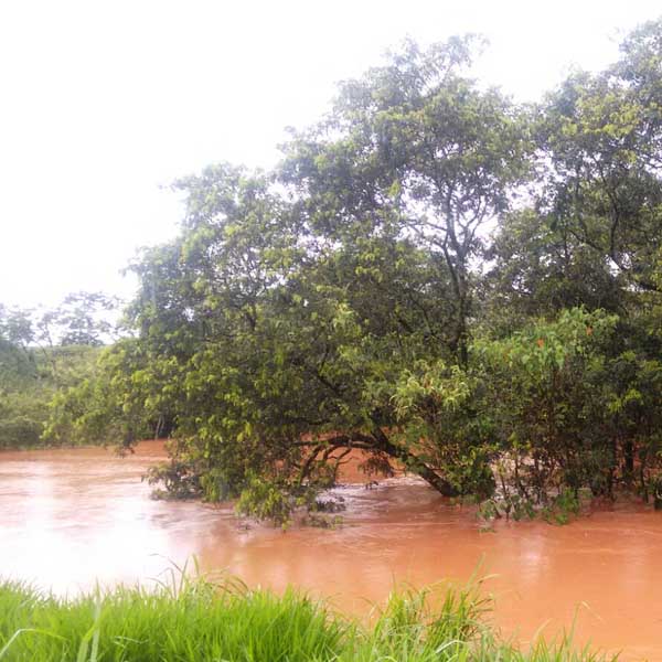 Aumento no nível de água do Rio Capivara alaga estrada e se aproxima de casas em Maracaí