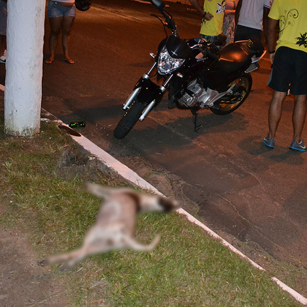Motociclista fica ferido ao atropelar cachorro