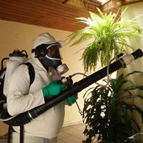 Notificações de dengue aumentam e preocupam em Paraguaçu