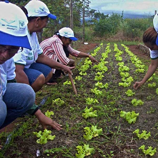 Sindicato Rural Patronal divulga novos cursos gratuitos para o mês de março