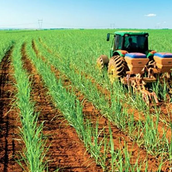 Curso gratuito de Manejo e Tratos Culturais de Cana de Açúcar está com inscrições aberta até amanhã