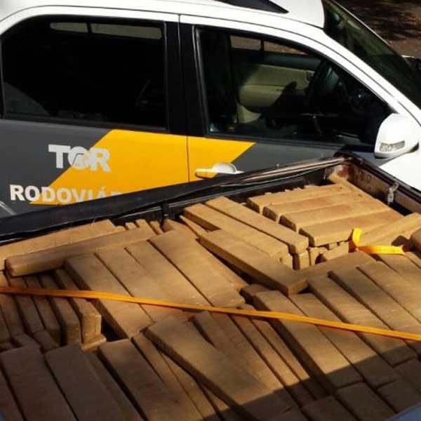 Polícia apreende cerca de uma tonelada de maconha em Assis