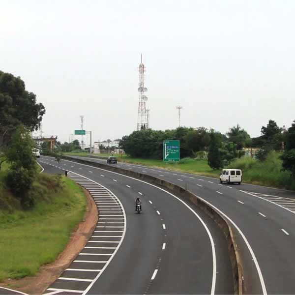 Vaca cruza pista e provoca morte de jovem de 20 anos em Marília