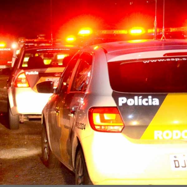 Boi solto em rodovia causa acidente em Marília; jovem morre e namorada fica ferida