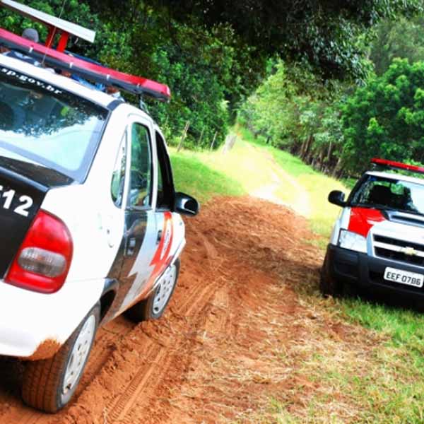 Quadrilha ataca fazenda em Echaporã e foge com madeira
