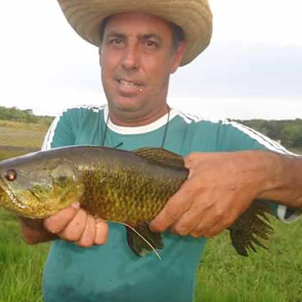 Antonio Celso Berto apaga velinhas