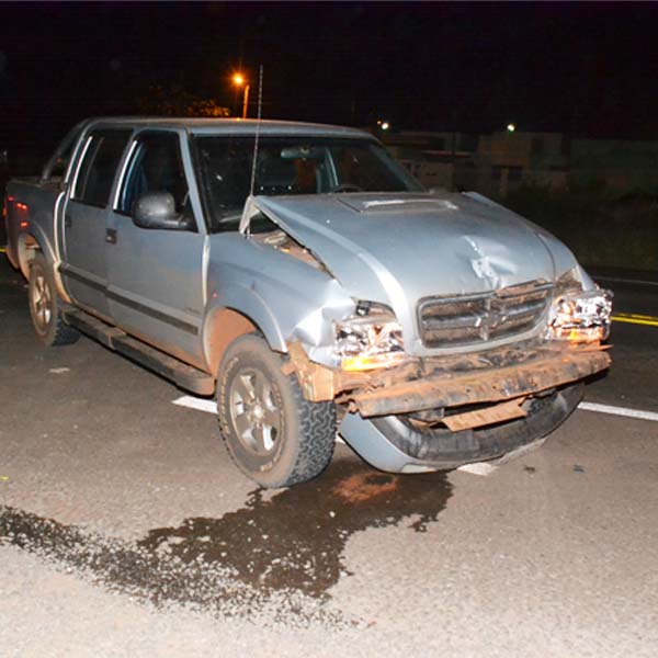 Motorista reduz velocidade para não atropelar cachorro e acaba provocando acidente