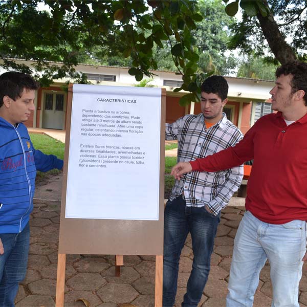 Cerca de 350 pessoas participam do I Dia de Integração Institucional na Faculdades Gammon