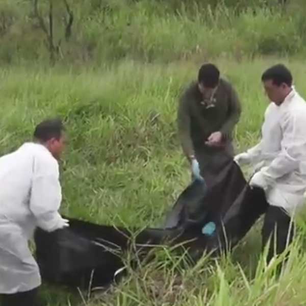 Ossada é encontrada em propriedade rural de Marília