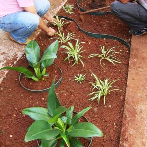 Sindicato Rural abre inscrições para curso de jardinagem